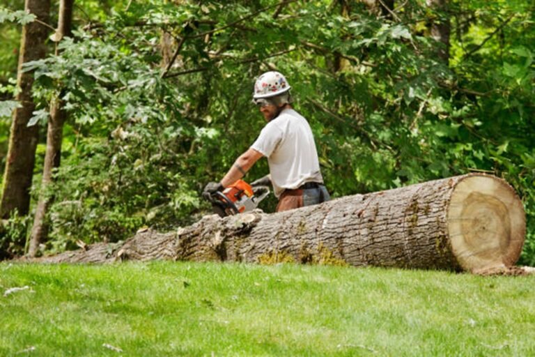 Do Tree Removal Companies in North Olmsted Offer Free Estimates?